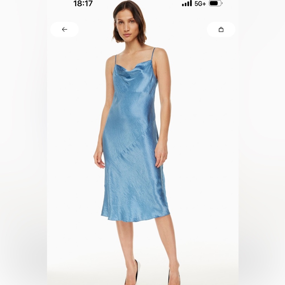 Aritzia Babaton Satin Slip Dress